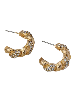 Exquisite C-Shaped Earrings