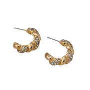 Exquisite C-Shaped Earrings